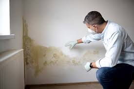 Best Air Quality Testing for Mold Spores  in Blacklick Estates, OH